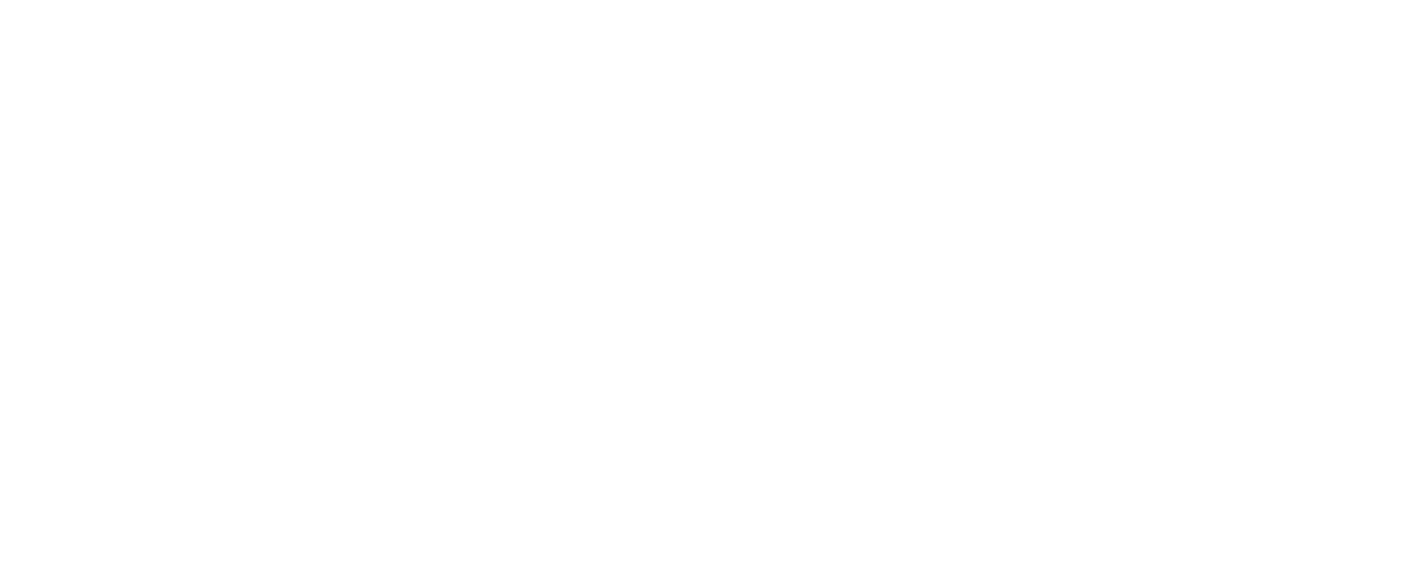 Missing in Action Logo
