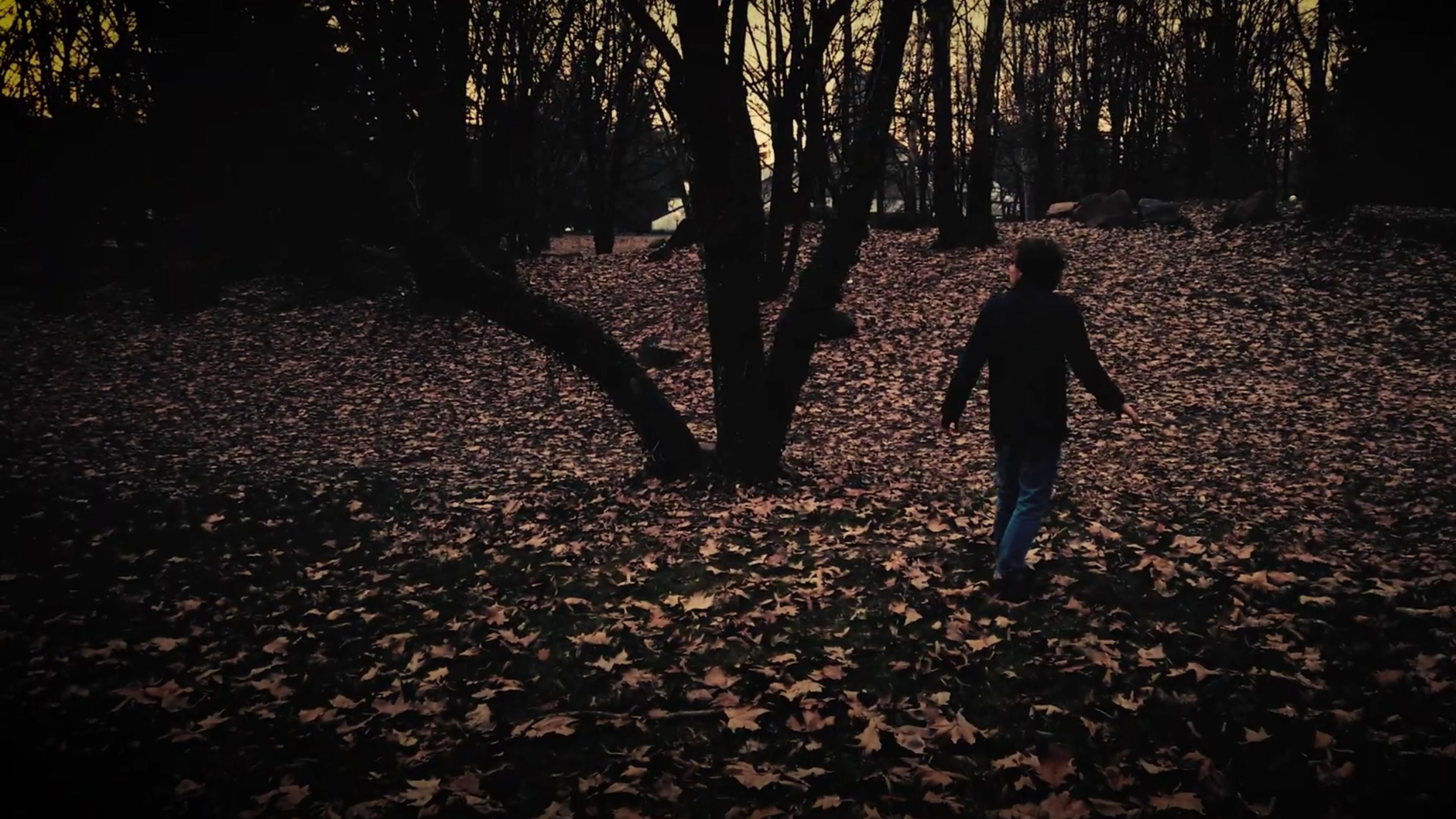 Imagem do Filme Woods