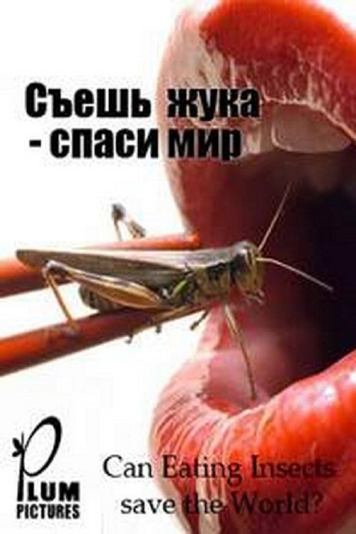 Content cover