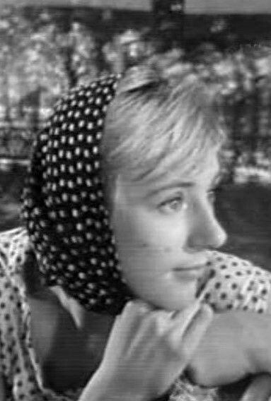 et billede af Anda Zaice