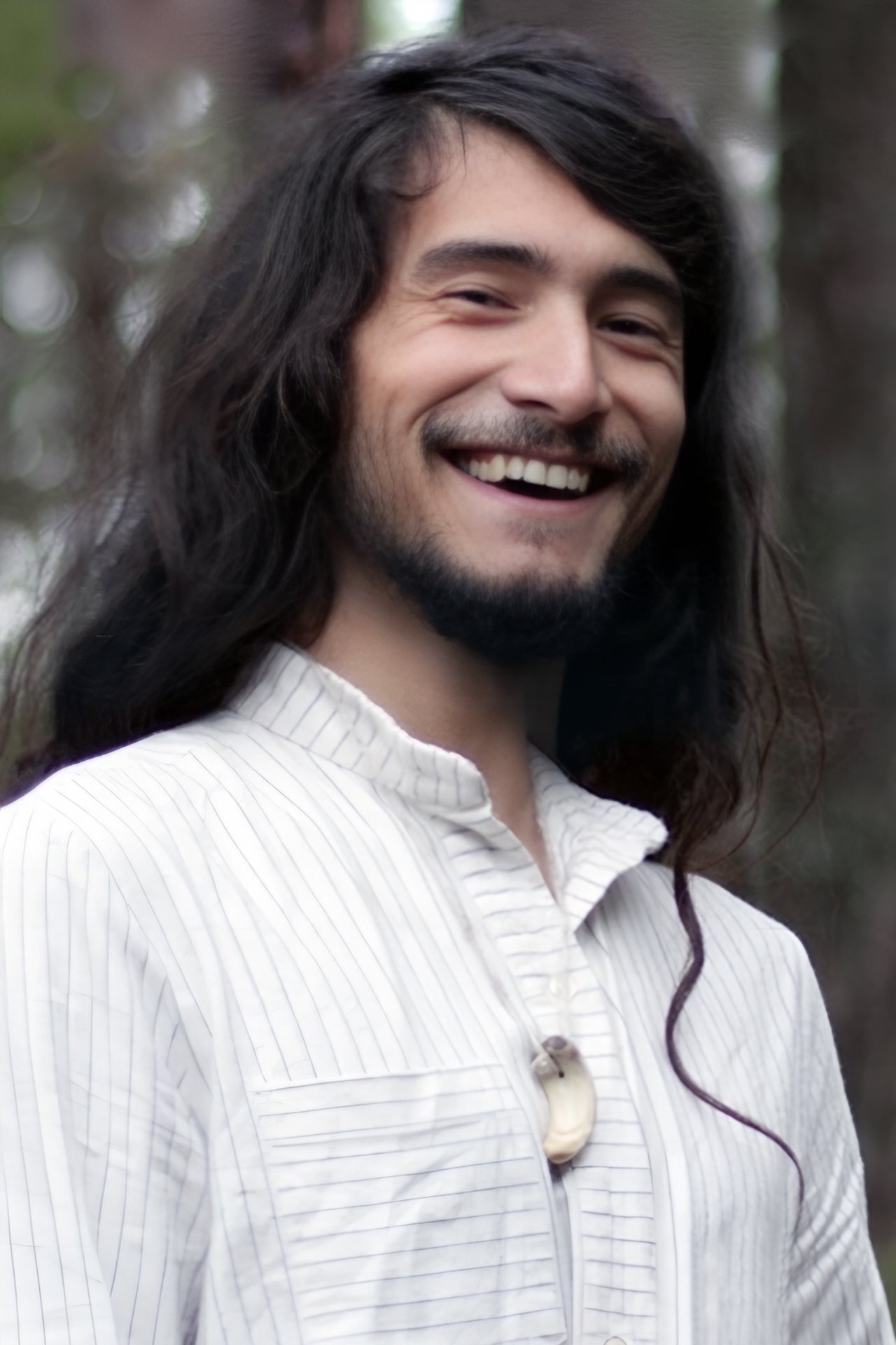 et billede af Charles Albert