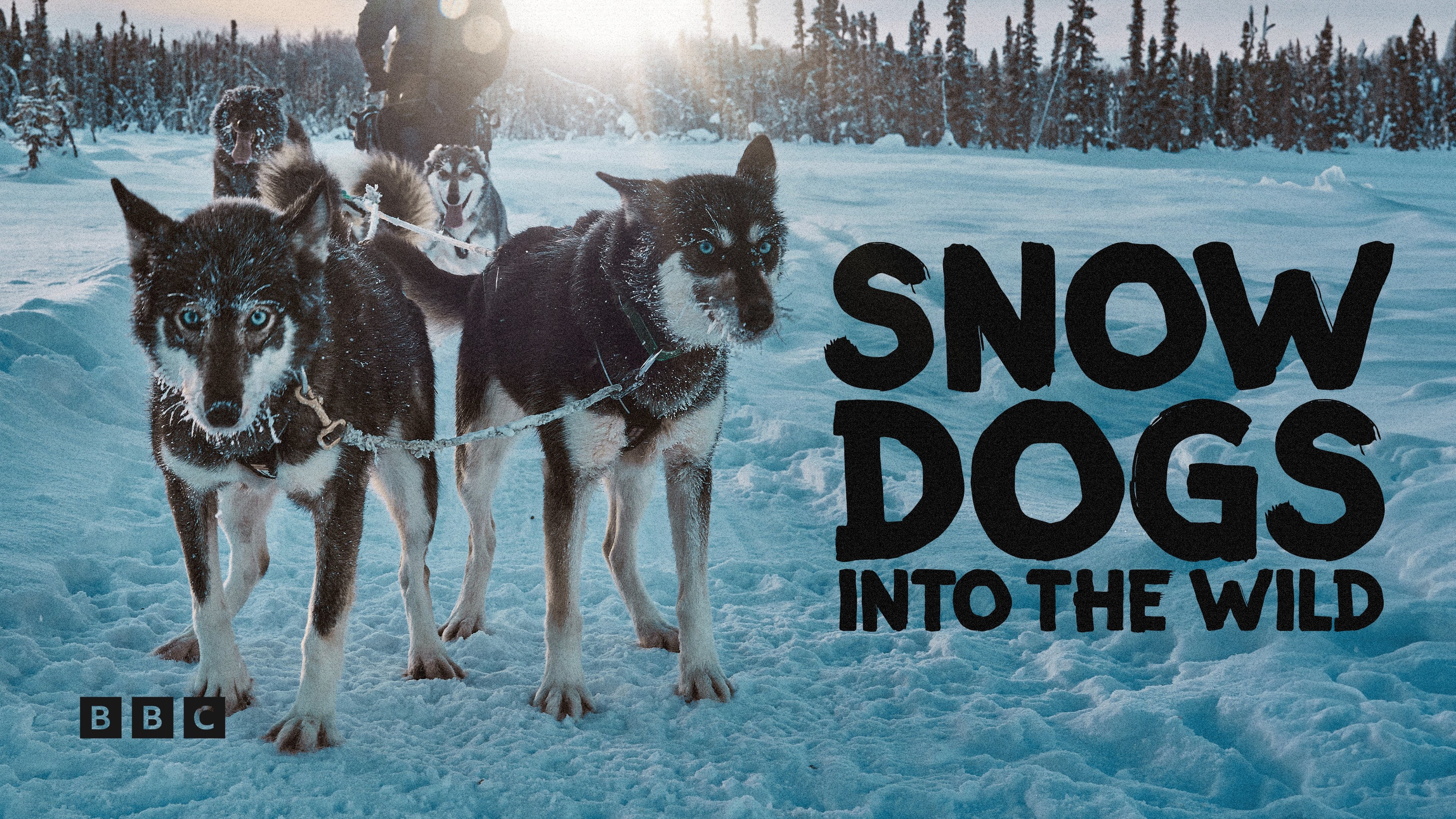Snow Dogs: Into the Wild (2022)