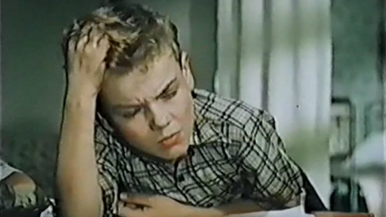 Smoke in the Forest (1955)