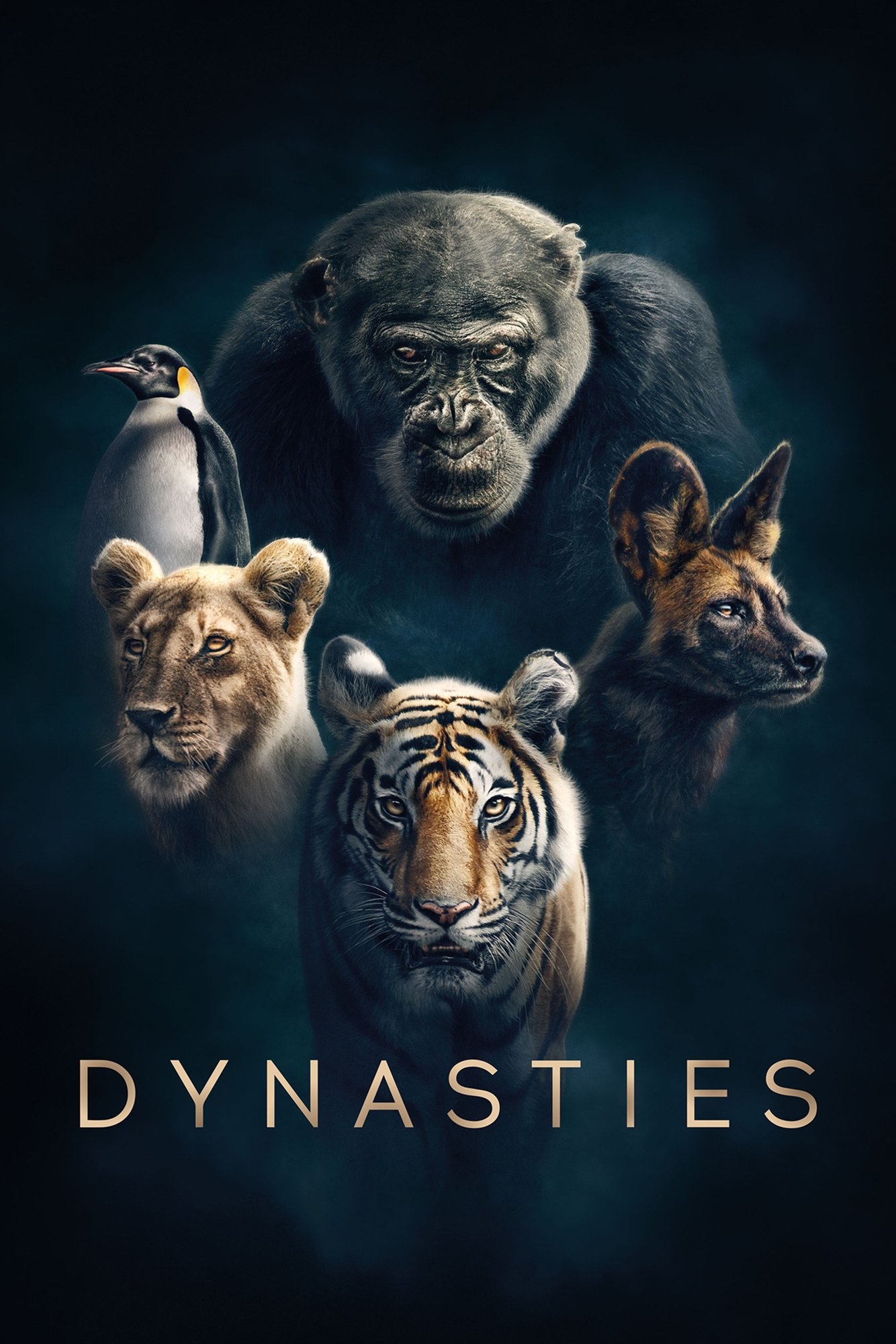 Dynasties Poster