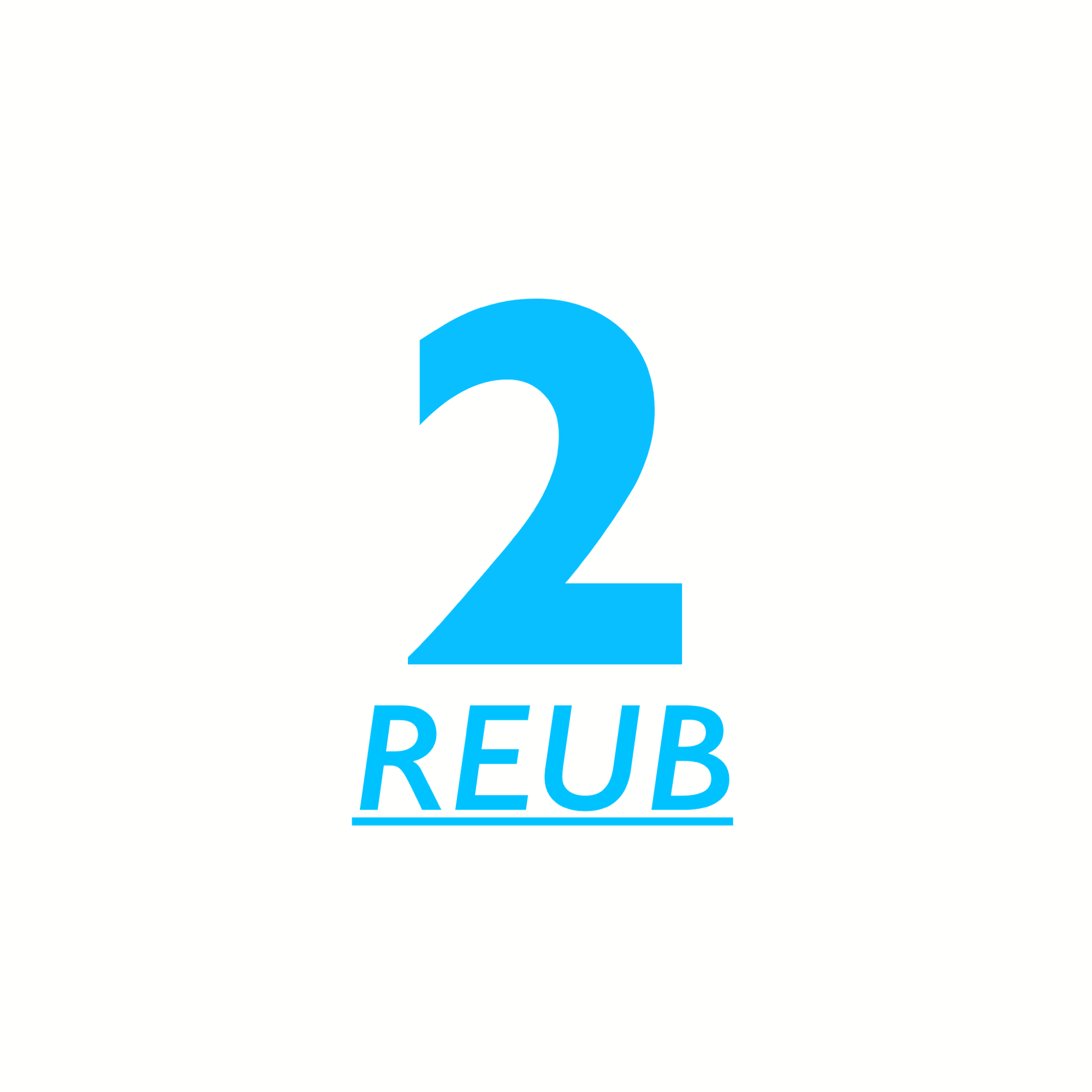 logo nextwork REUB2