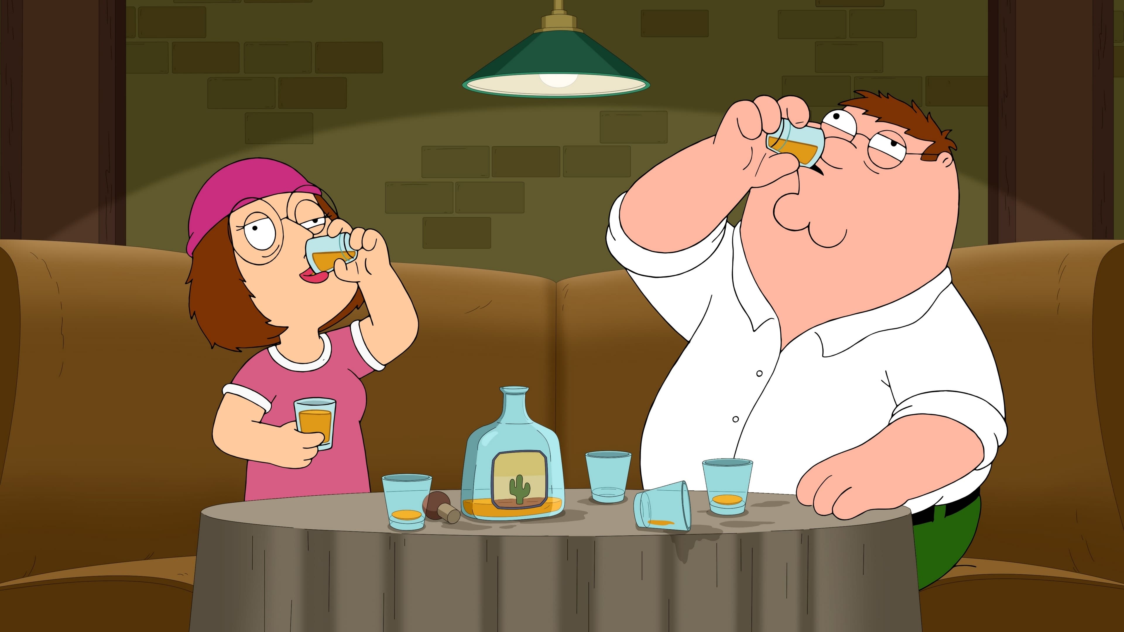 Family Guy Season 16 :Episode 8  Crimes and Meg's Demeanor