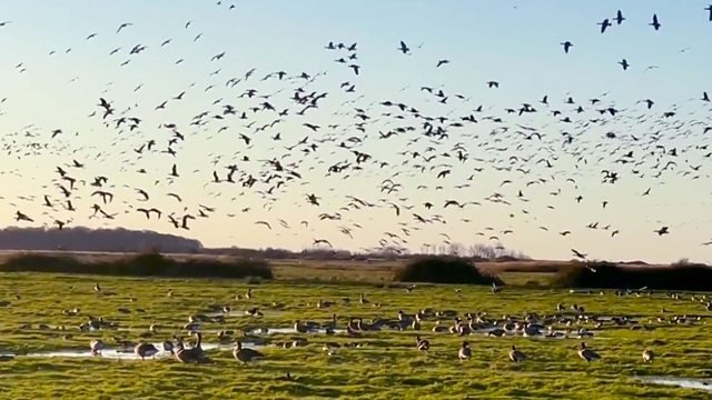 Countryfile 35x8