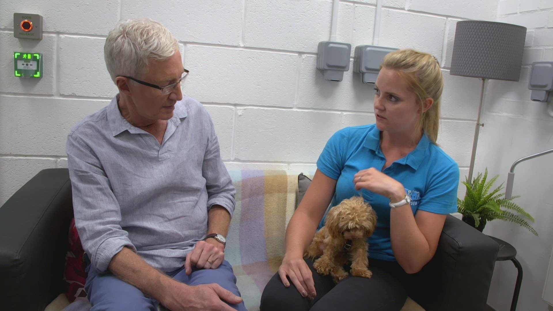 Paul O'Grady, pour l'amour des chiens - Épisode 5