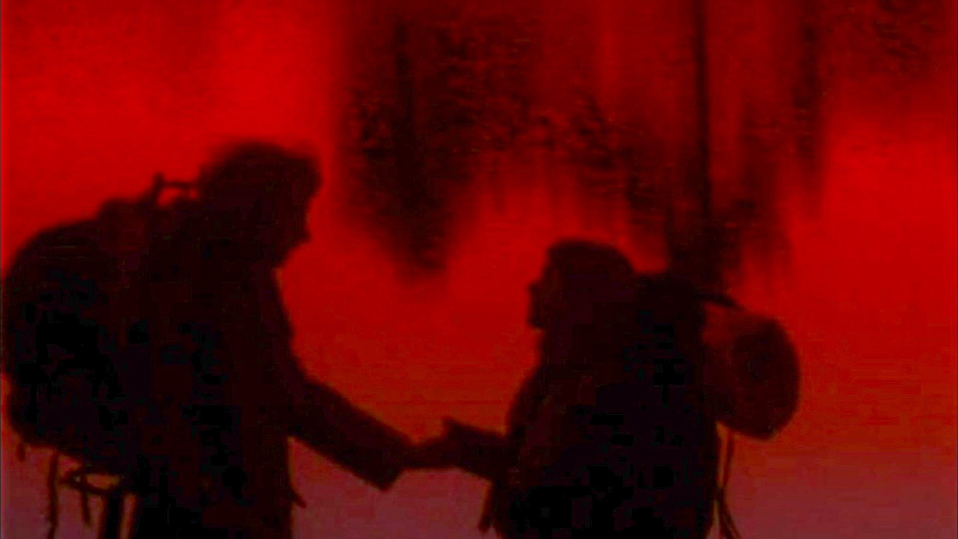 The Territory (1981)