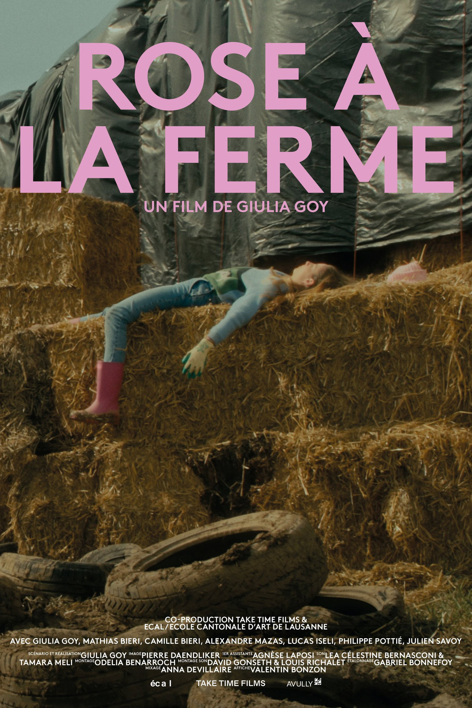 Rose &agrave; la ferme