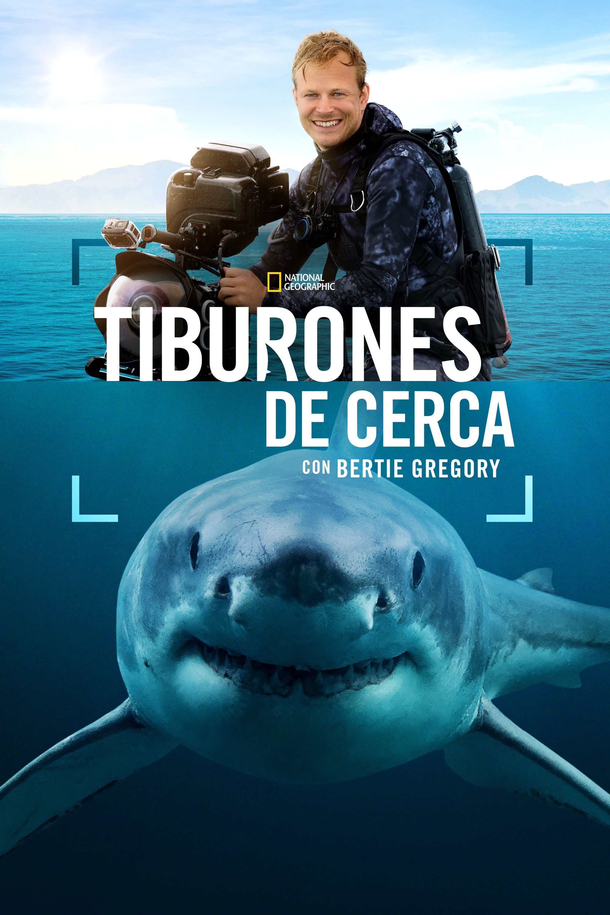 Sharks Up Close with Bertie Gregory