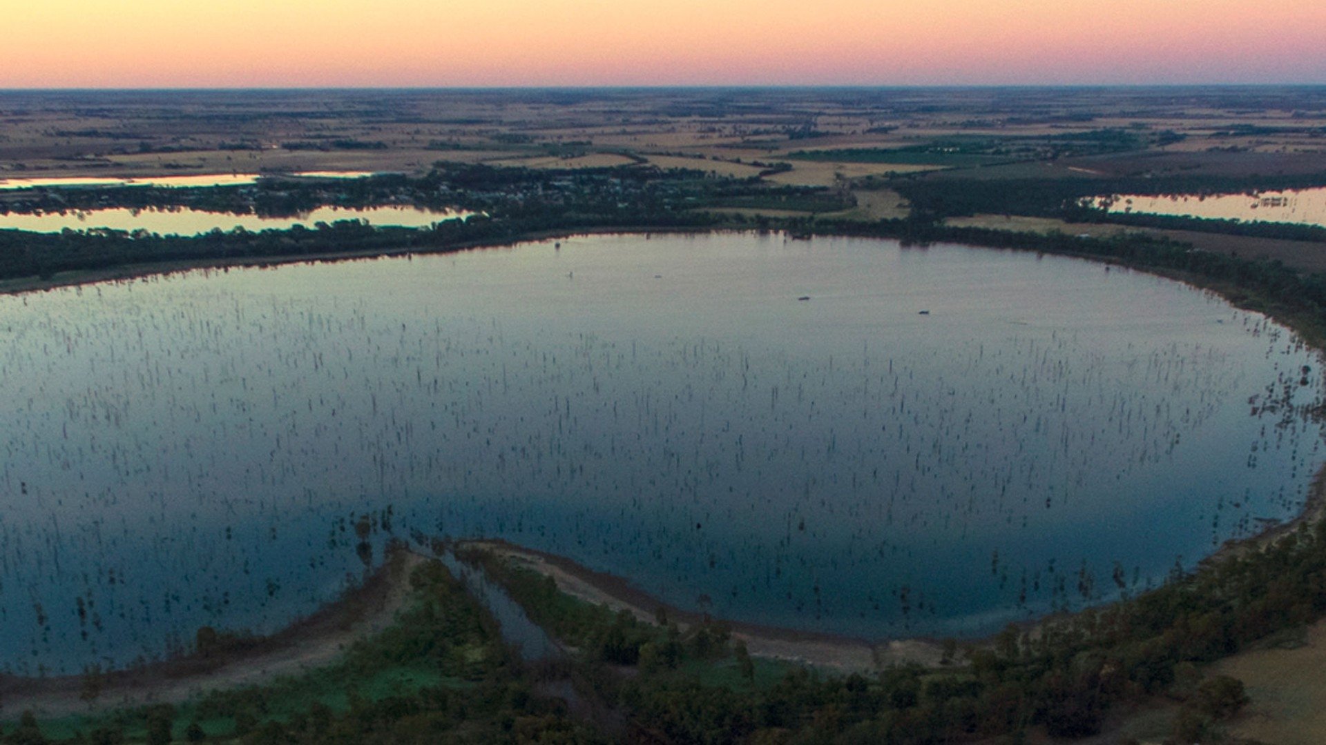 The Lake of Scars (2022)