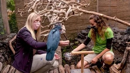 Expédition Pairi Daiza - Épisode 4