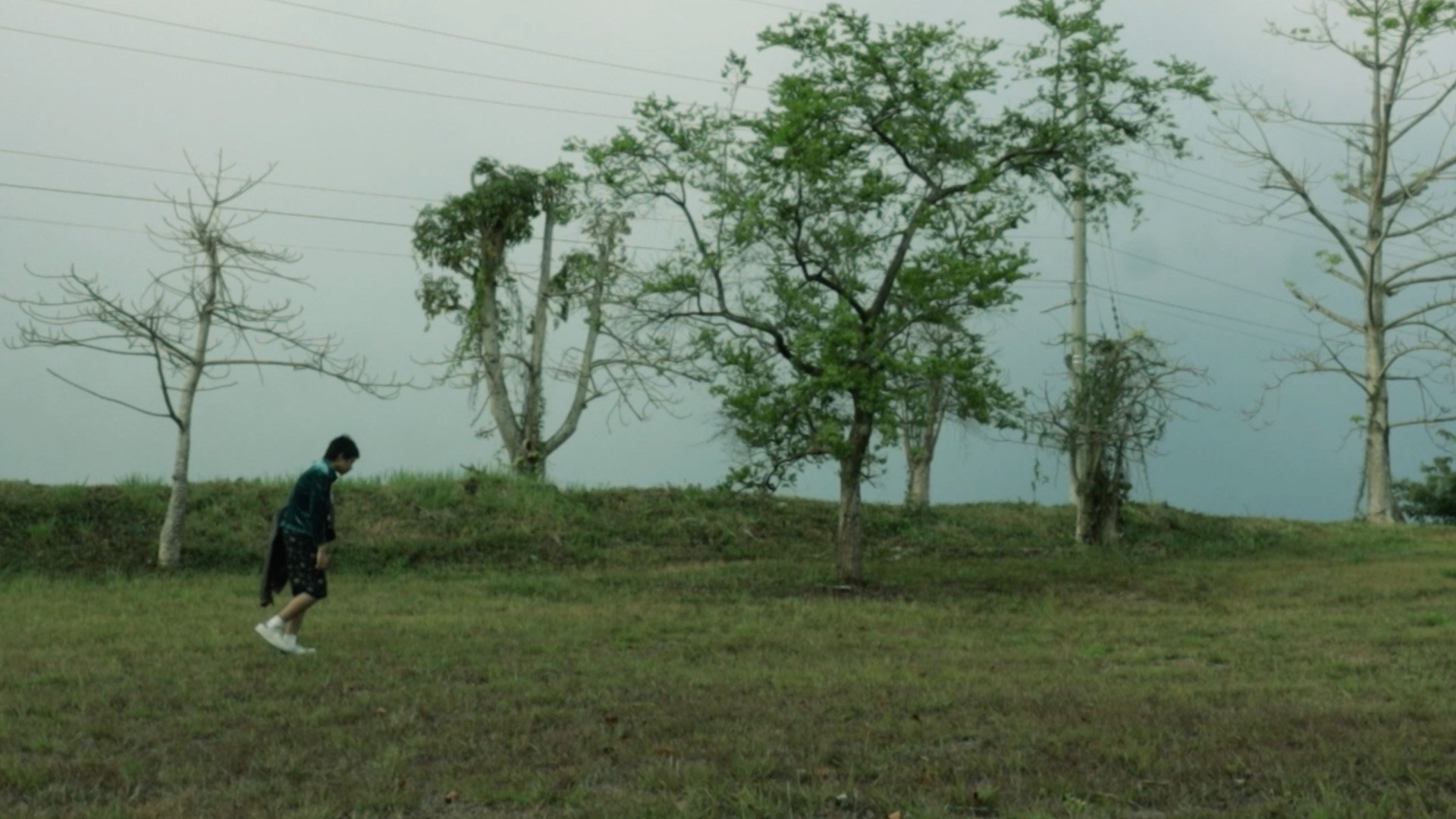 Imagem do Filme Alpas