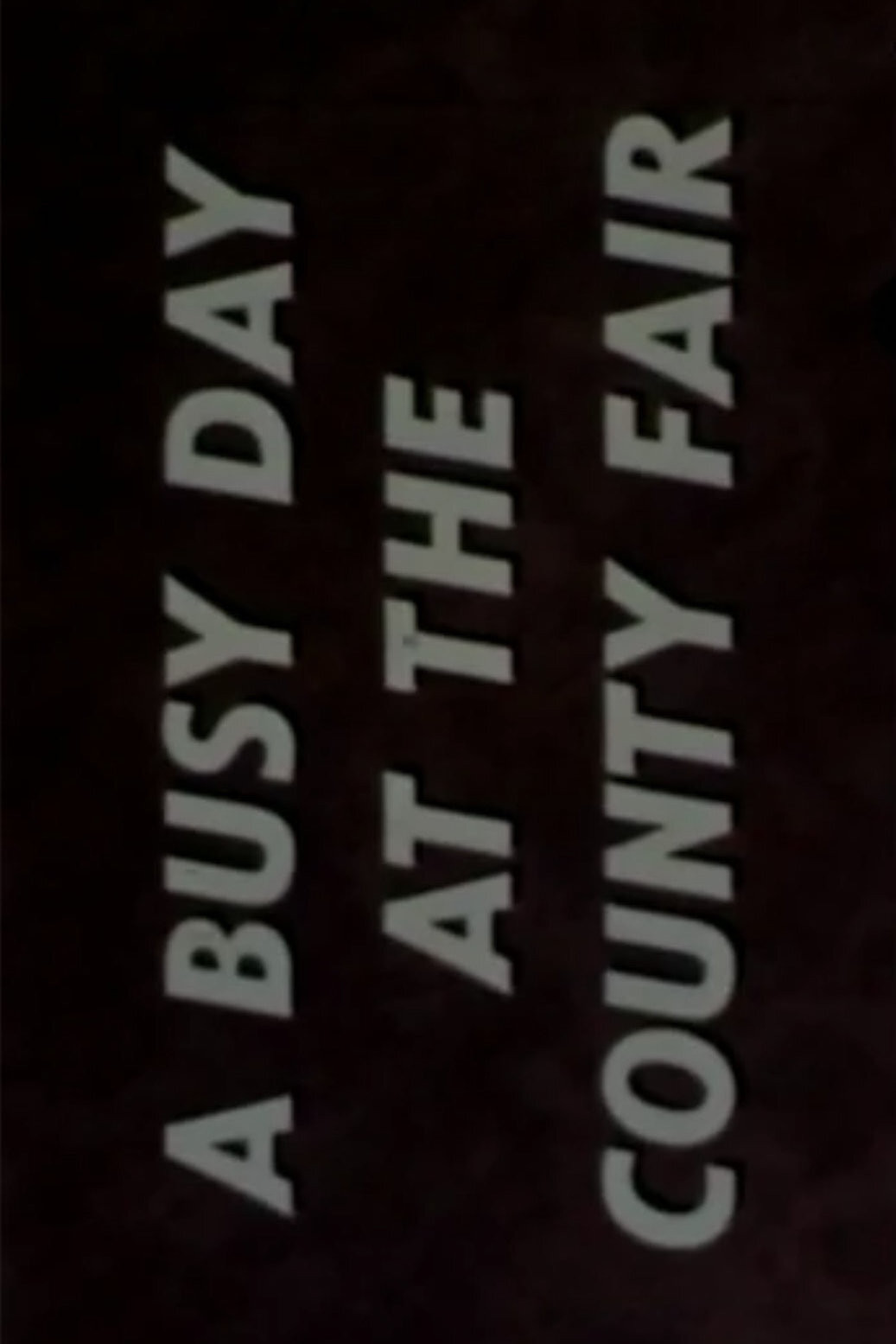 A Busy Day at the County Fair