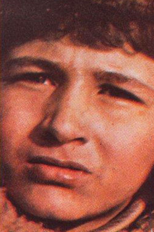 et billede af Polat A. Jöntürk