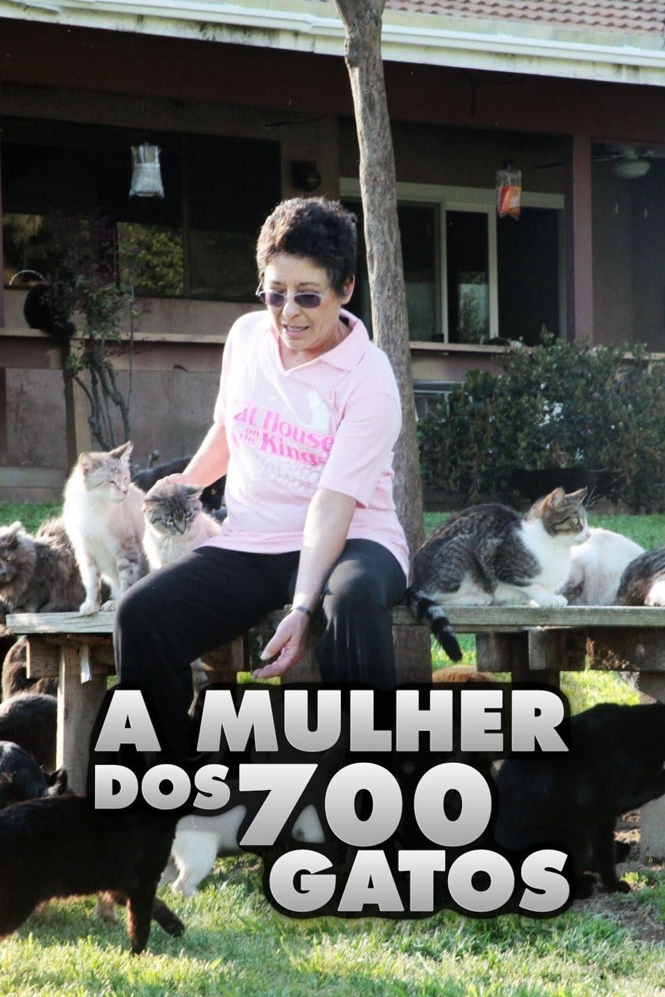 A Mulher dos 700 Gatos A Mulher dos 700 Gatos