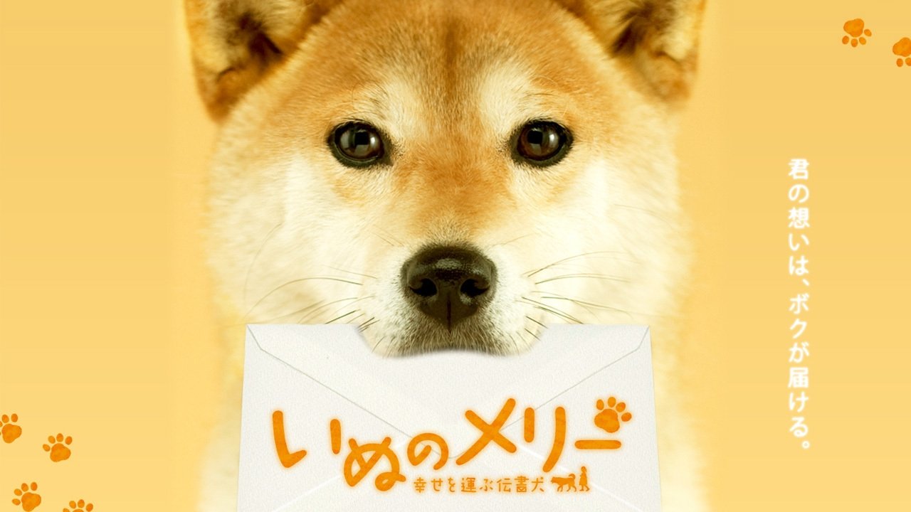 いぬのメリー～幸せを運ぶ伝書犬 poster