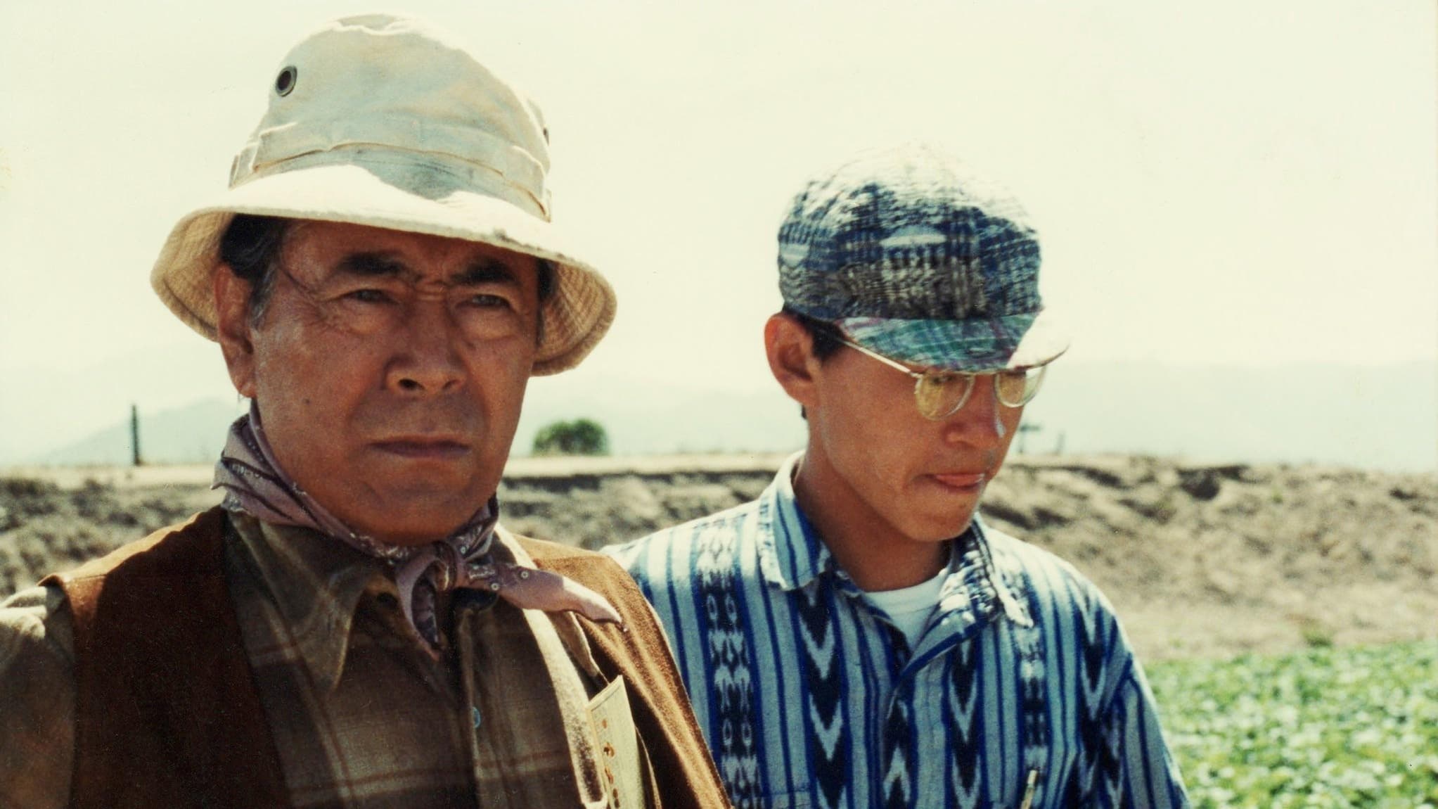 Strawberry Road (1991)