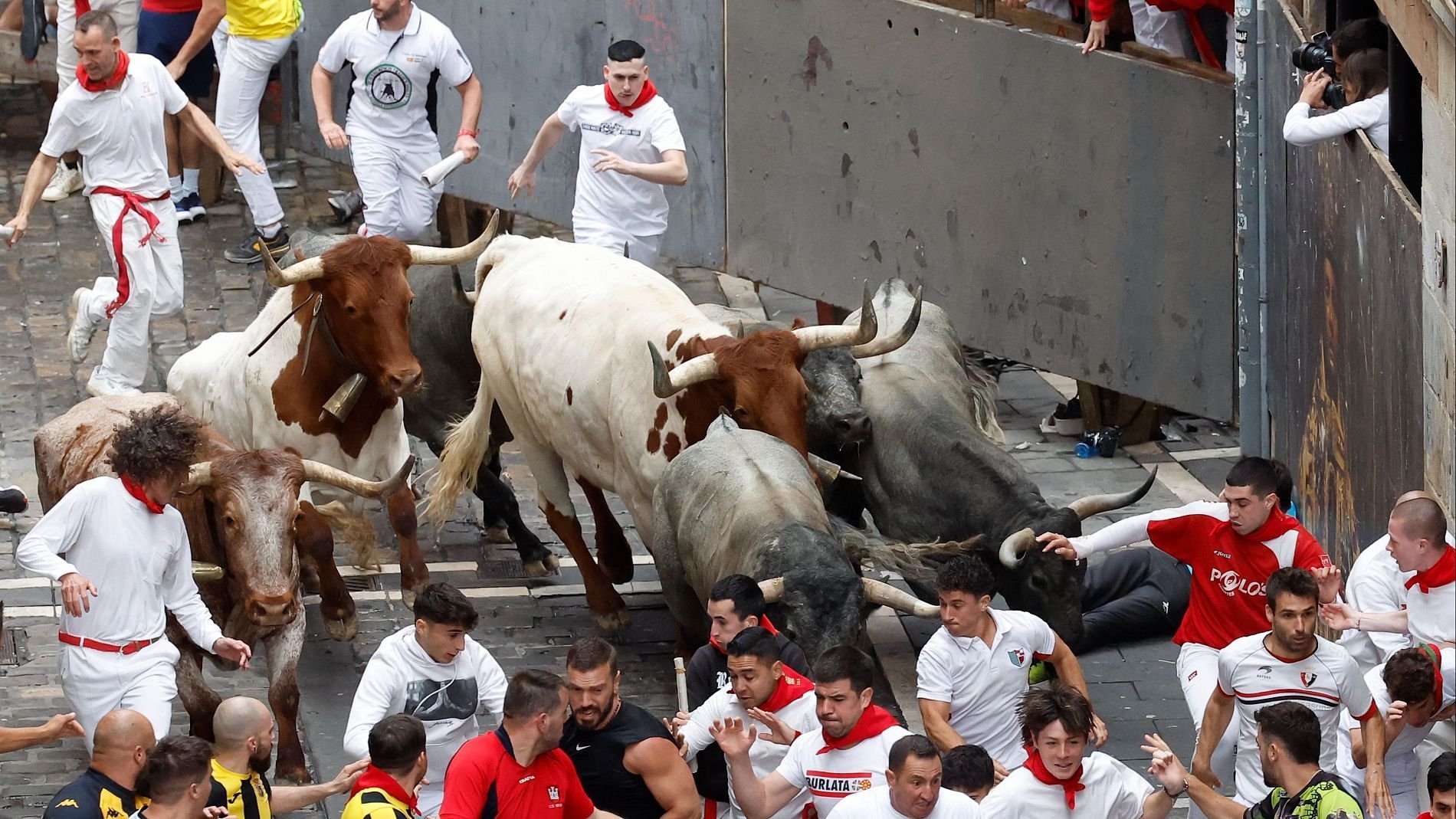 Vive San Fermín 2024x8