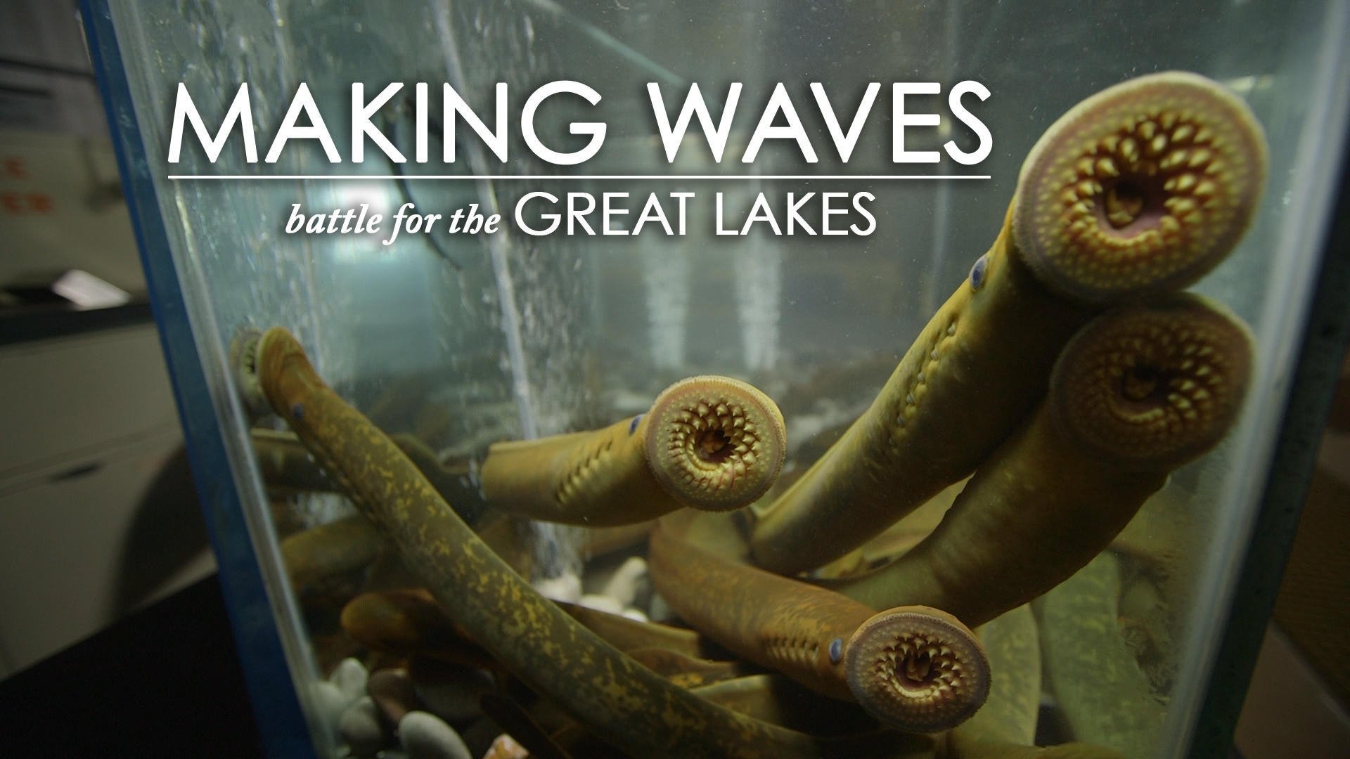 Making Waves