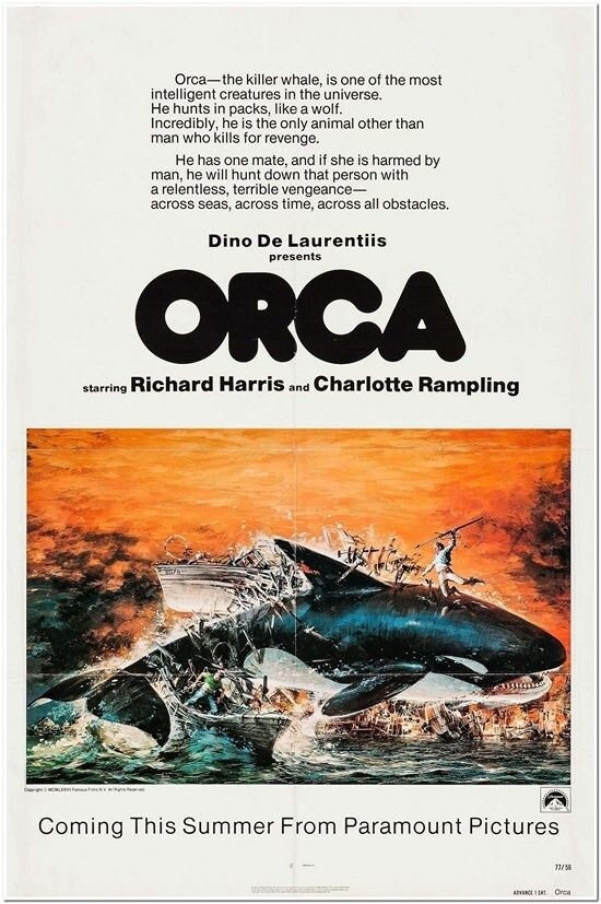 Orca