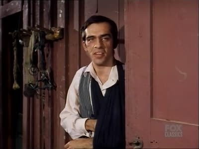 Bonanza