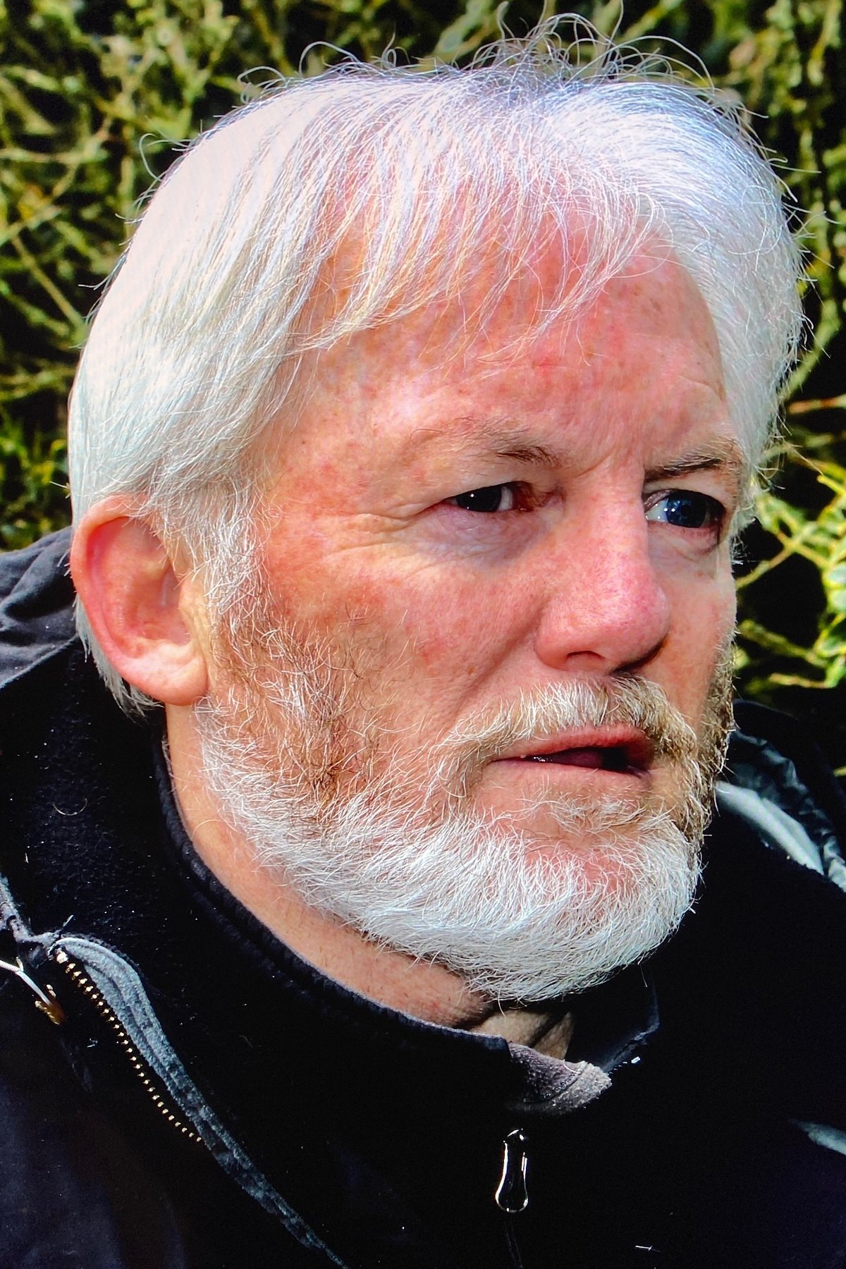 et billede af Owen Walstrom