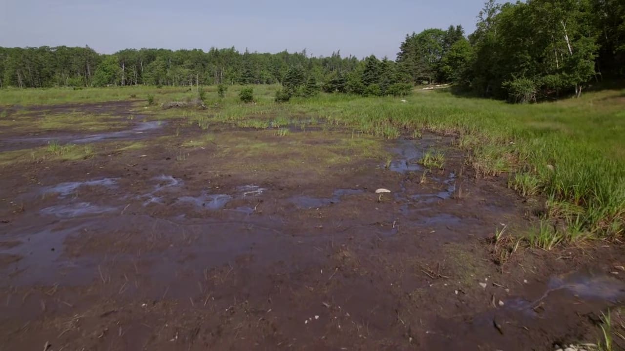 The Curse of Oak Island