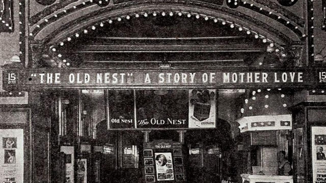The Old Nest (1921)
