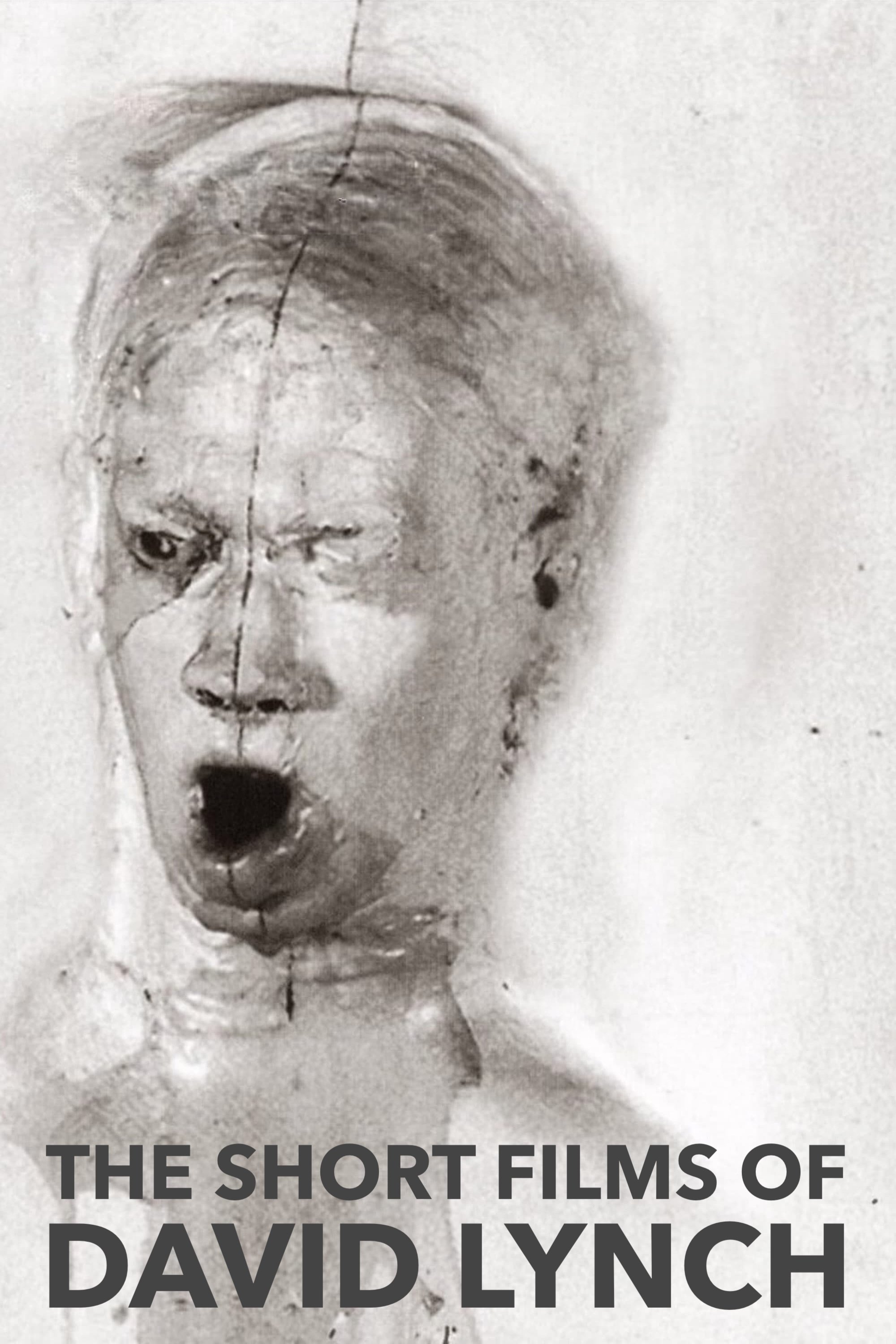 The Short Films of David Lynch