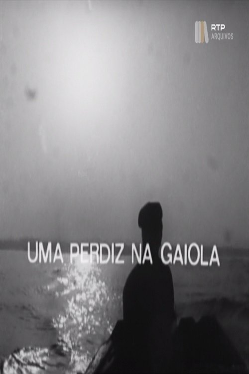 Uma Perdiz na Gaiola Uma Perdiz na Gaiola