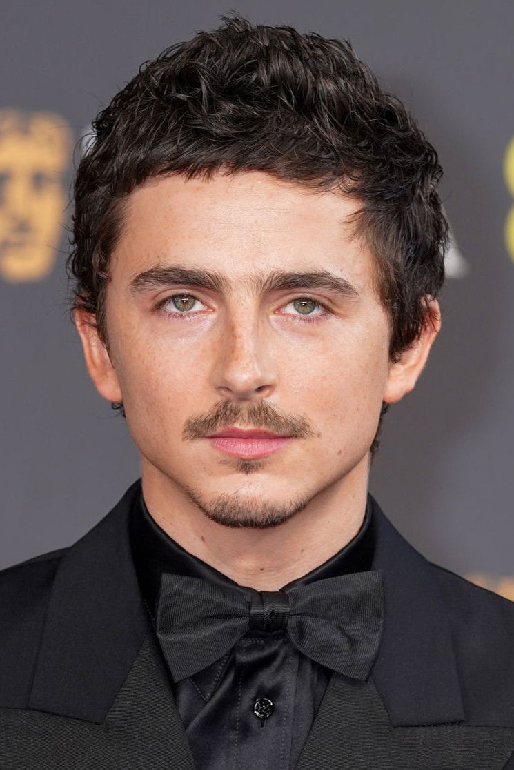 et billede af Timothée Chalamet