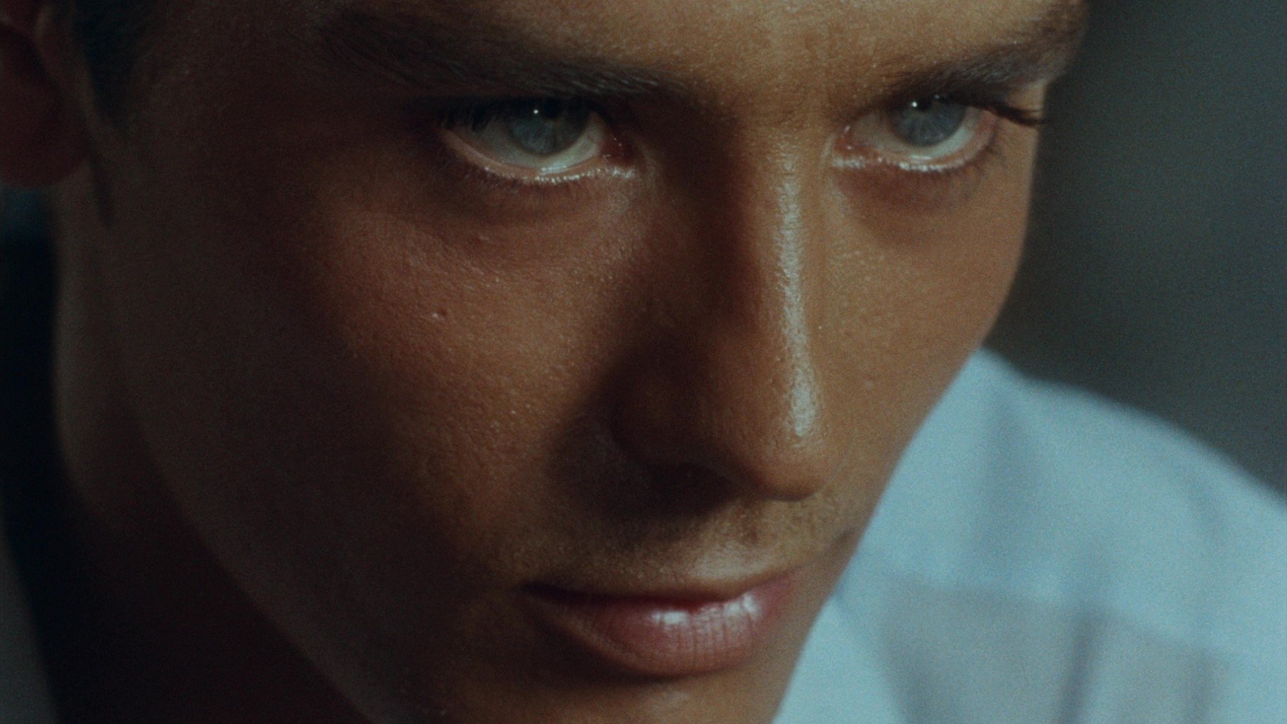Purple Noon
