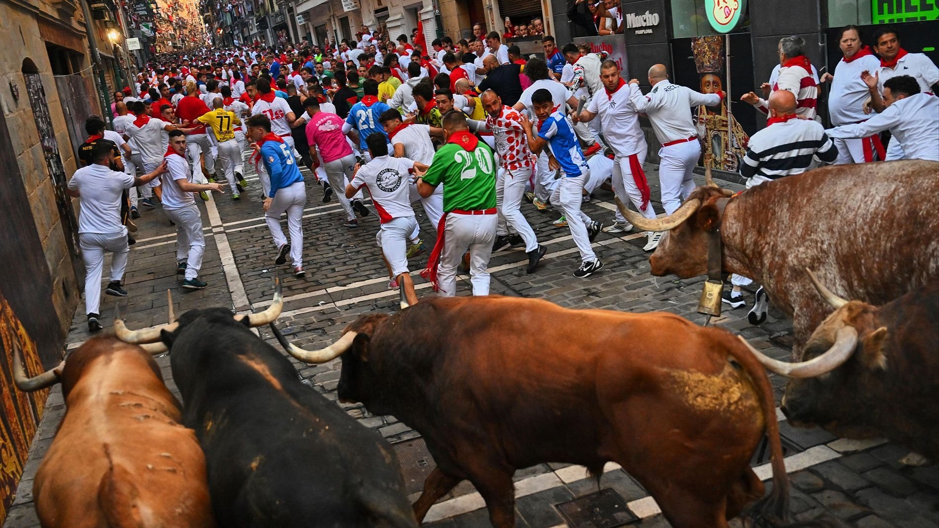 Vive San Fermín 2025x5