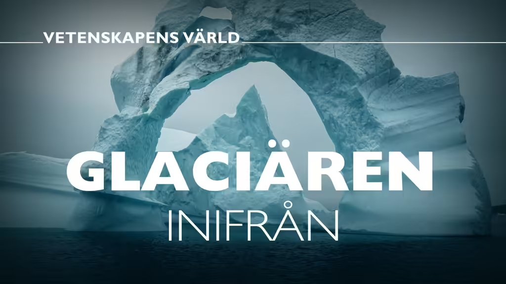 Vetenskapens värld