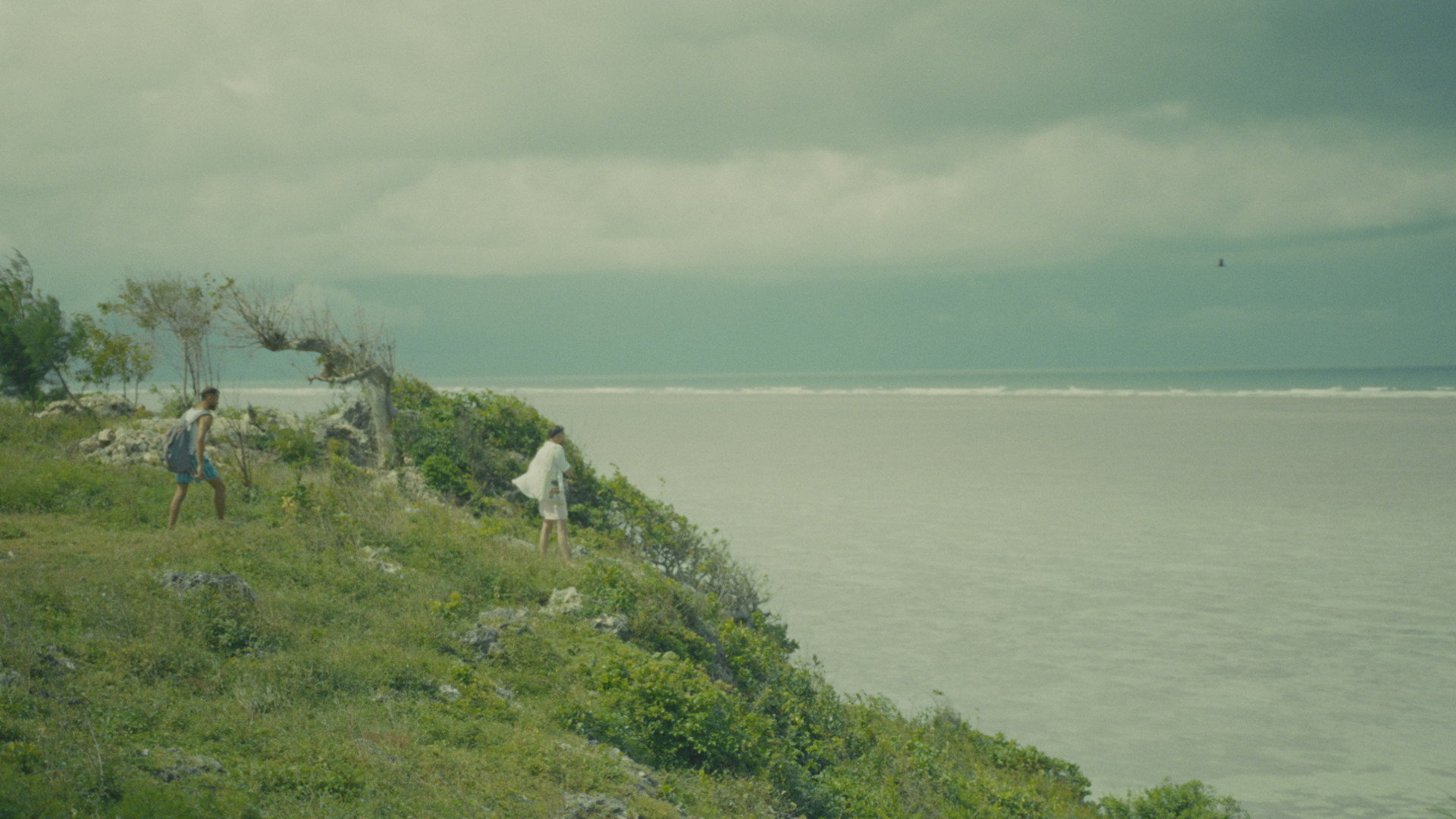 trailer banner