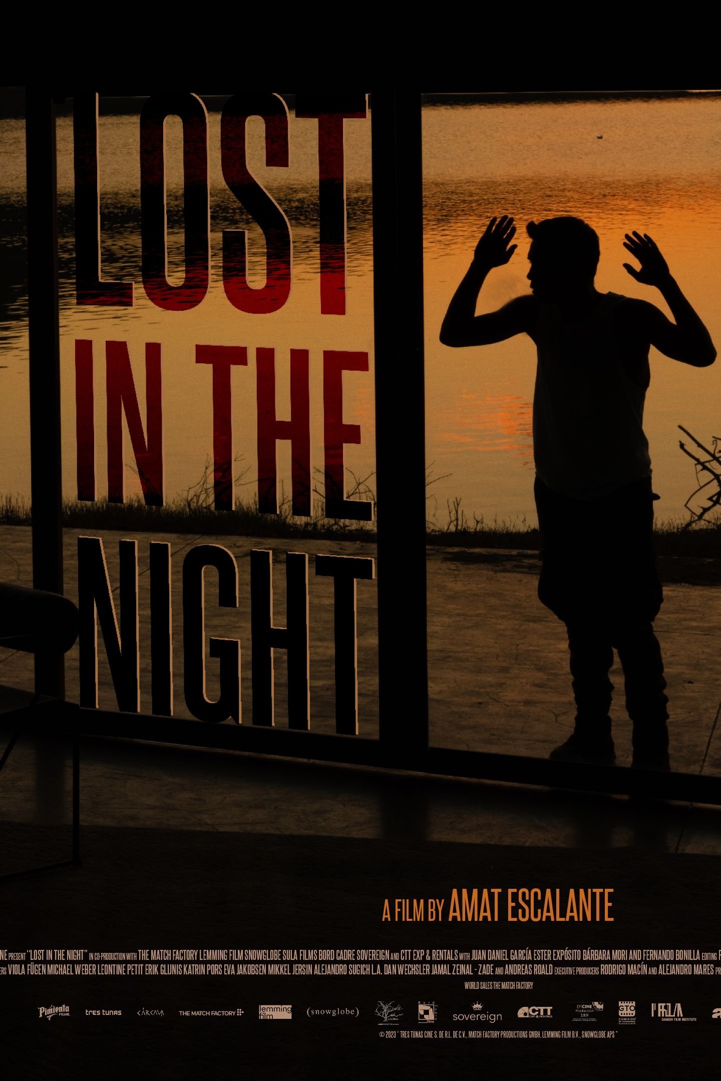 Lost in the Night