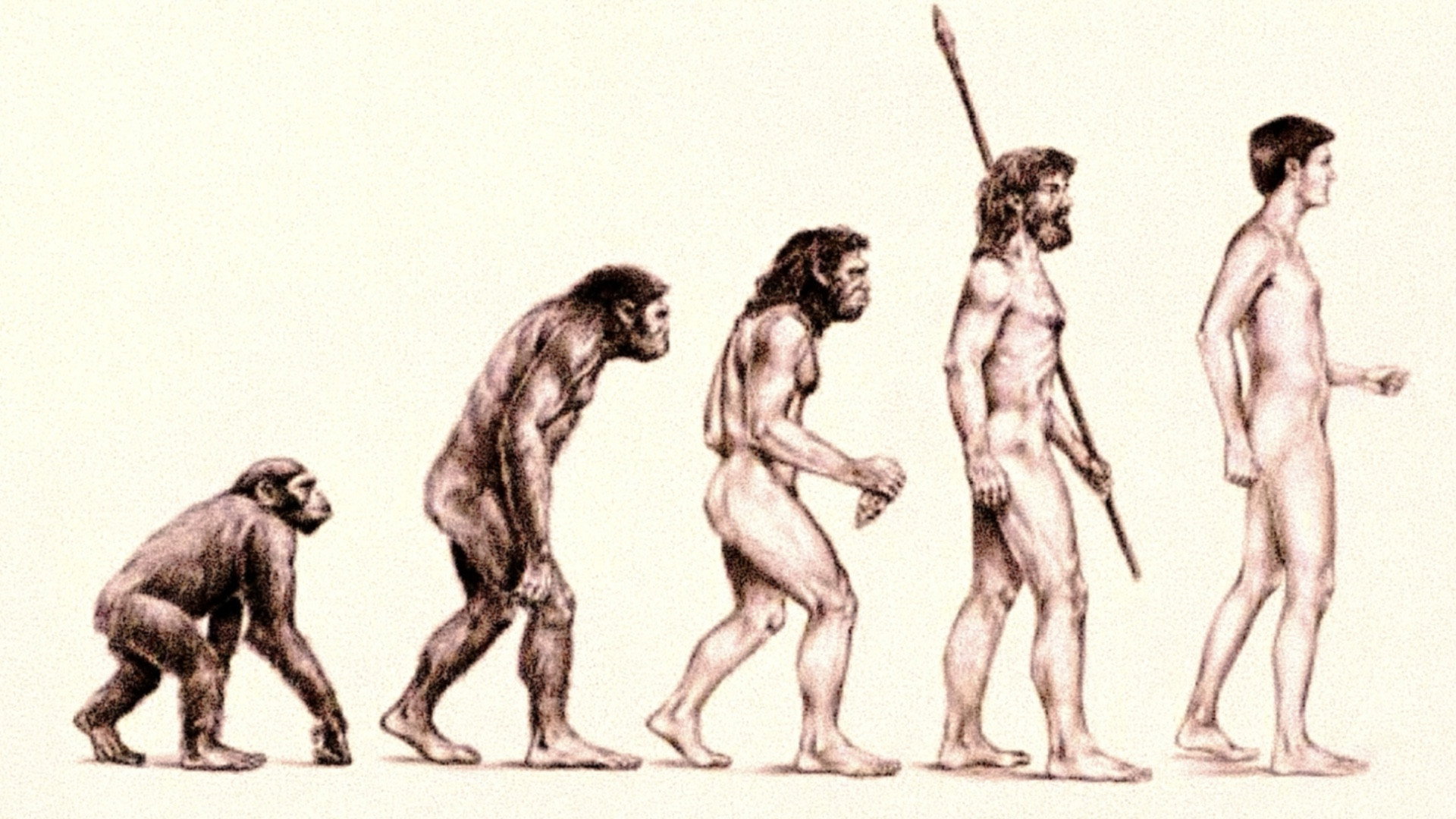 Purgatory for Epiphanea