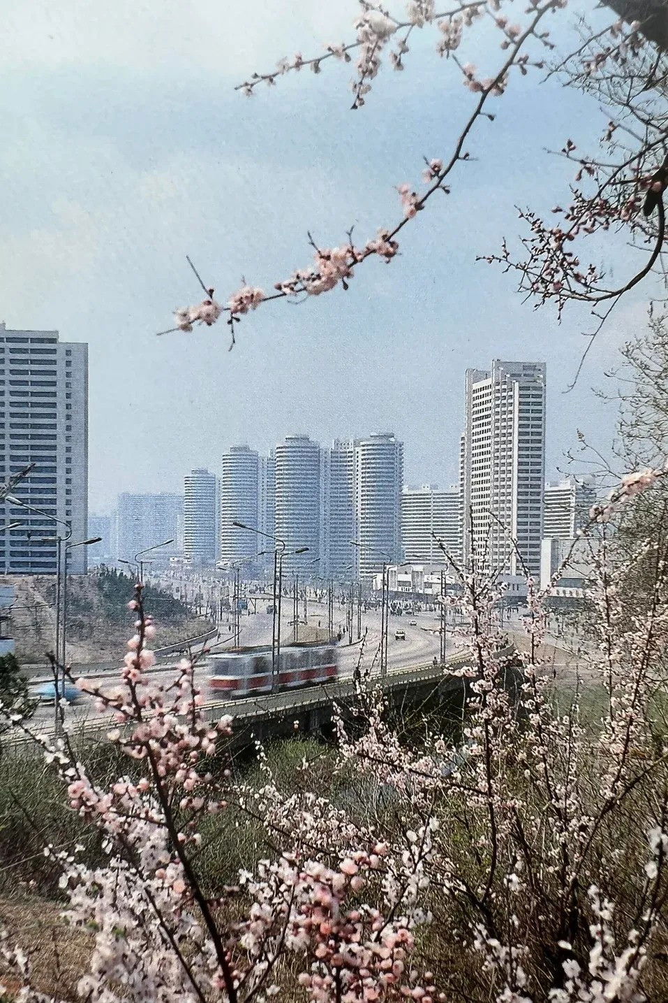 Poster for My Socialist Country