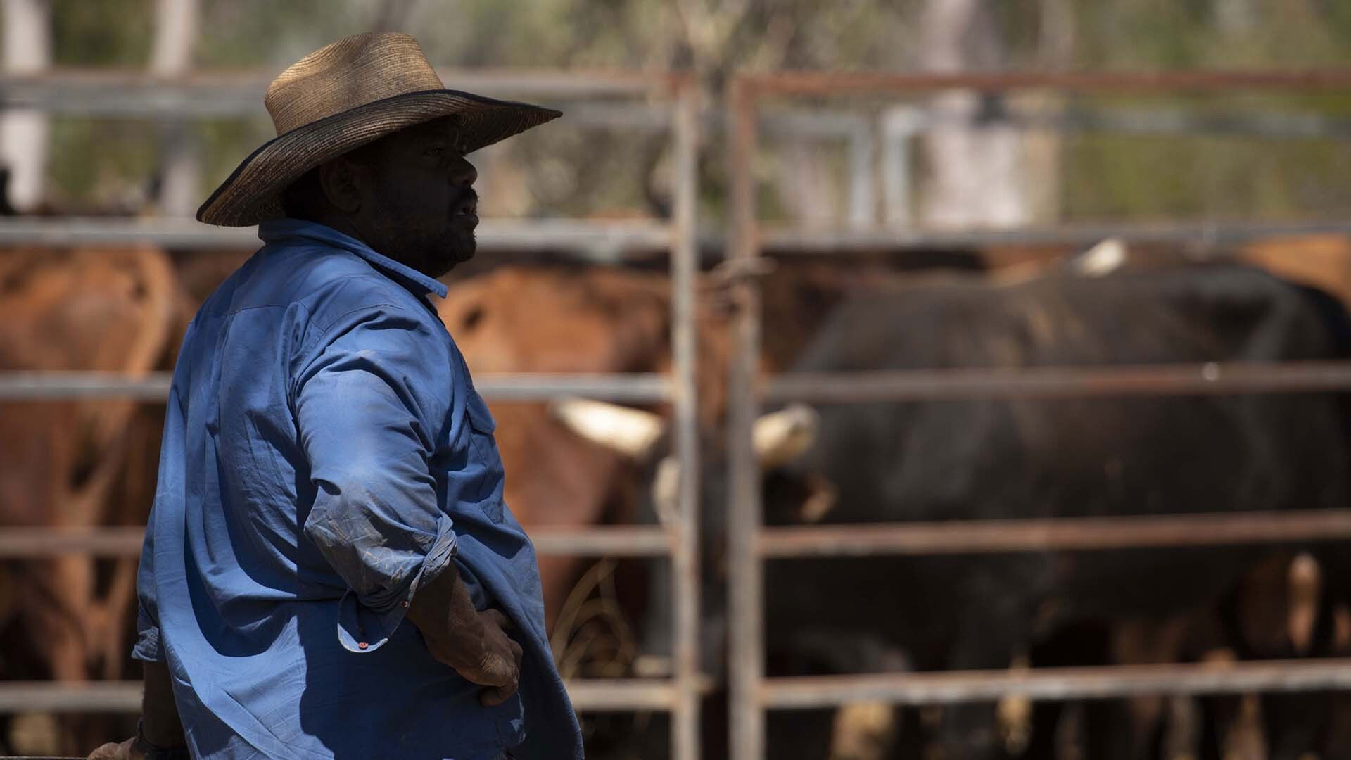 Outback Ringer S02E01 backdrop