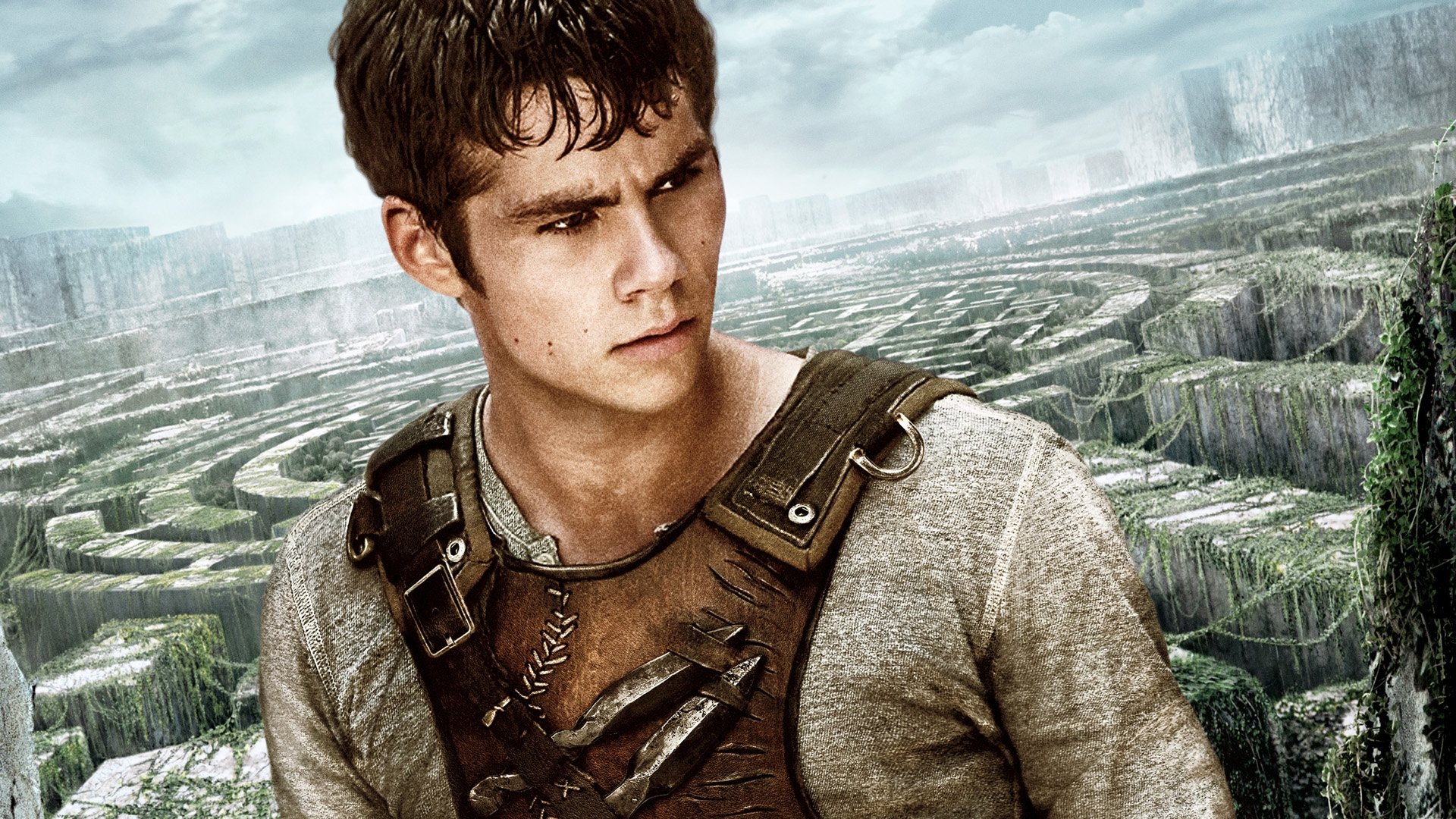 The Maze Runner