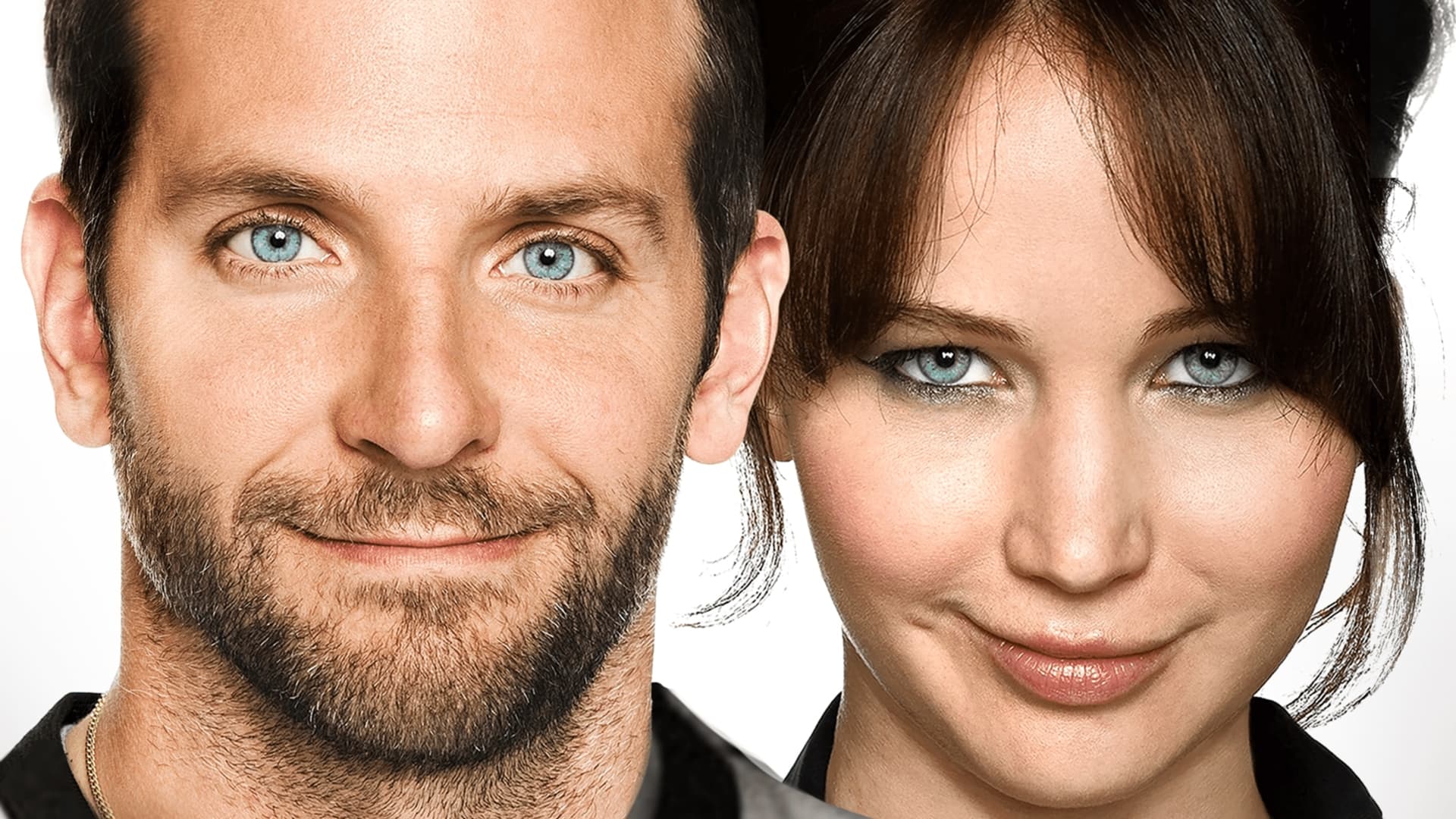 Silver Linings Playbook (2012)