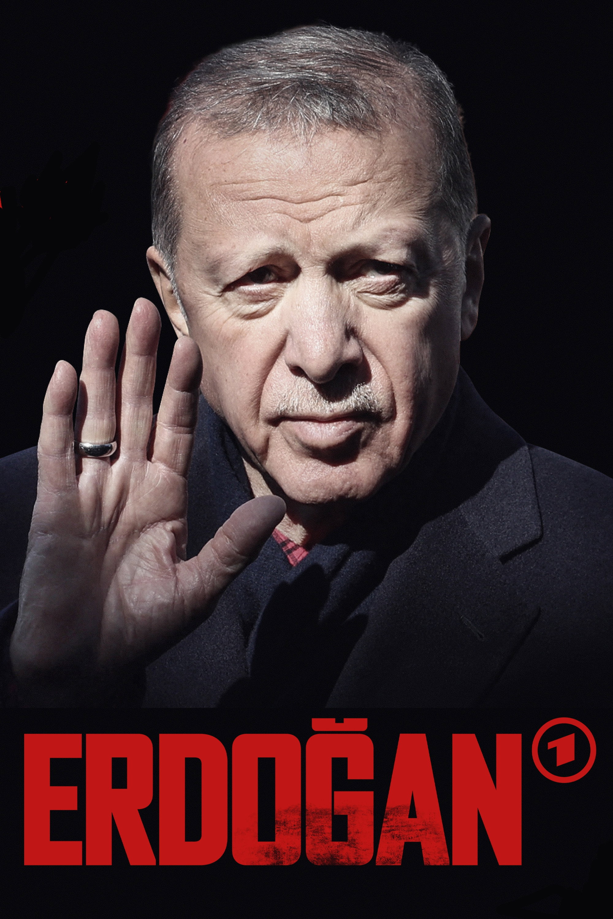 Erdoğan Poster