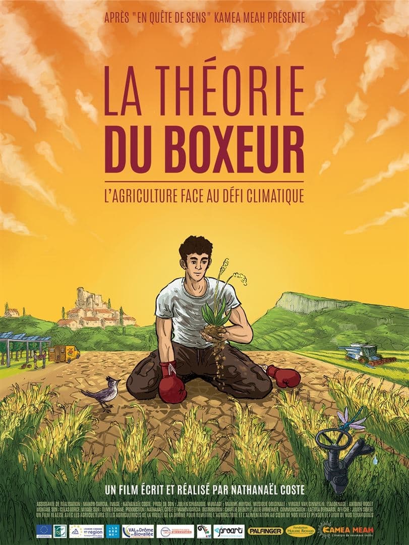 Affiche du film La Théorie du Boxeur 194422