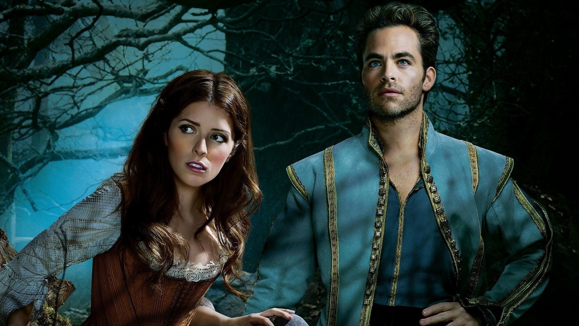 Into the Woods : Promenons-nous dans les bois