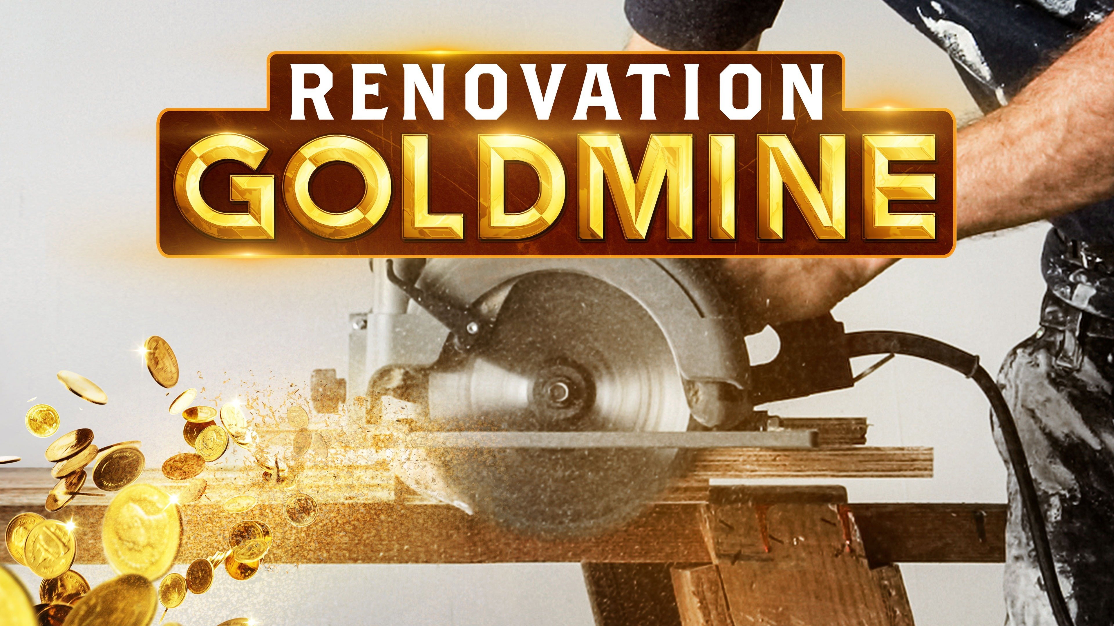 Renovation Goldmine