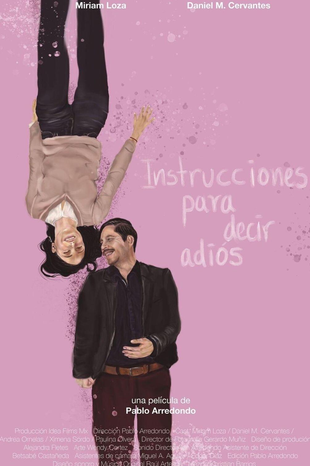 Instrucciones para decir adiós Instrucciones para decir adiós