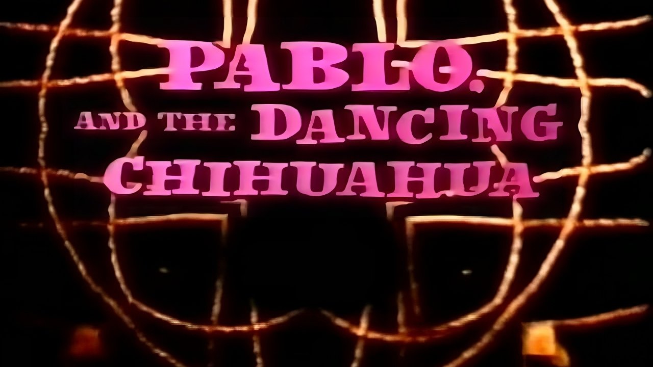 Pablo and the Dancing Chihuahua