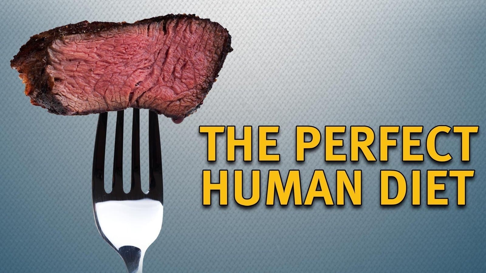 The Perfect Human Diet